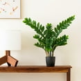 thumbnail image 7 of Vickerman 36" Potted Green Zamifolia Artificial Bush., 7 of 7