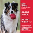 thumbnail image 6 of KONG® Ball with Rope Dog Toy, Small, for Dogs Up to 20 lbs, 6 of 7