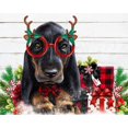 thumbnail image 2 of Sheena Pike Art 24x20 Black Ornate Wood Framed with Double Matting Museum Art Print Titled - Christmas Cuties Daschund, 2 of 4
