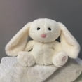 thumbnail image 2 of Chupete de Koala para bebé, juguete de cuna de Animal de peluche, fácil de usar, duradero, 2 of 5