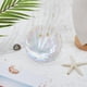 thumbnail image 5 of Bandeja para joyas con forma de concha de cristal, transparente, moderna y organizadora de joyas con forma de concha marina., 5 of 7