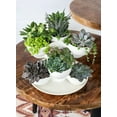 thumbnail image 6 of The HC Companies 8" Pixie Indoor Stacking Succulent Planter Pot, Artisan Taupe, 6 of 7
