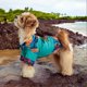 thumbnail image 3 of Camisa Para Perros Ropa De Verano Para Mascotas Camisa De Playa Transpirable De Poliéster Para Perros Estampado Tropical Camisa Ligera Para Perros Para Interior Y Exterior, 3 of 6