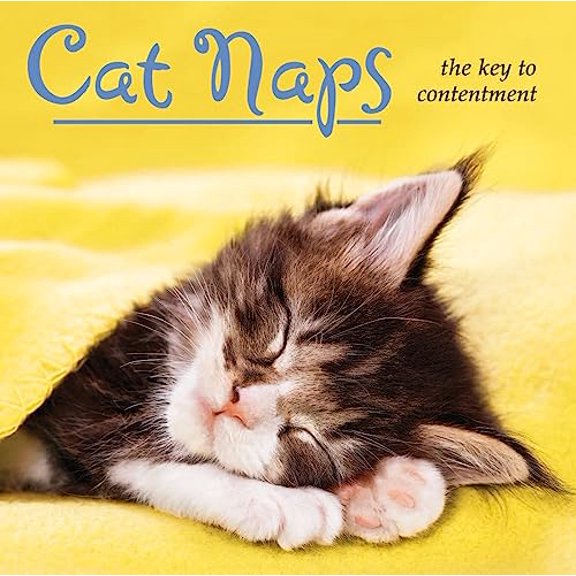 Pre-Owned Cat Naps: The Key to Contentment (Hardcover) 1416245235 9781416245230