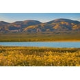 thumbnail image 2 of Fitzharris, Tim 18x13 Black Ornate Wood Framed with Double Matting Museum Art Print Titled - Temblor Range at Soda Lake -Carrizo Plain National Monument-California, 2 of 4