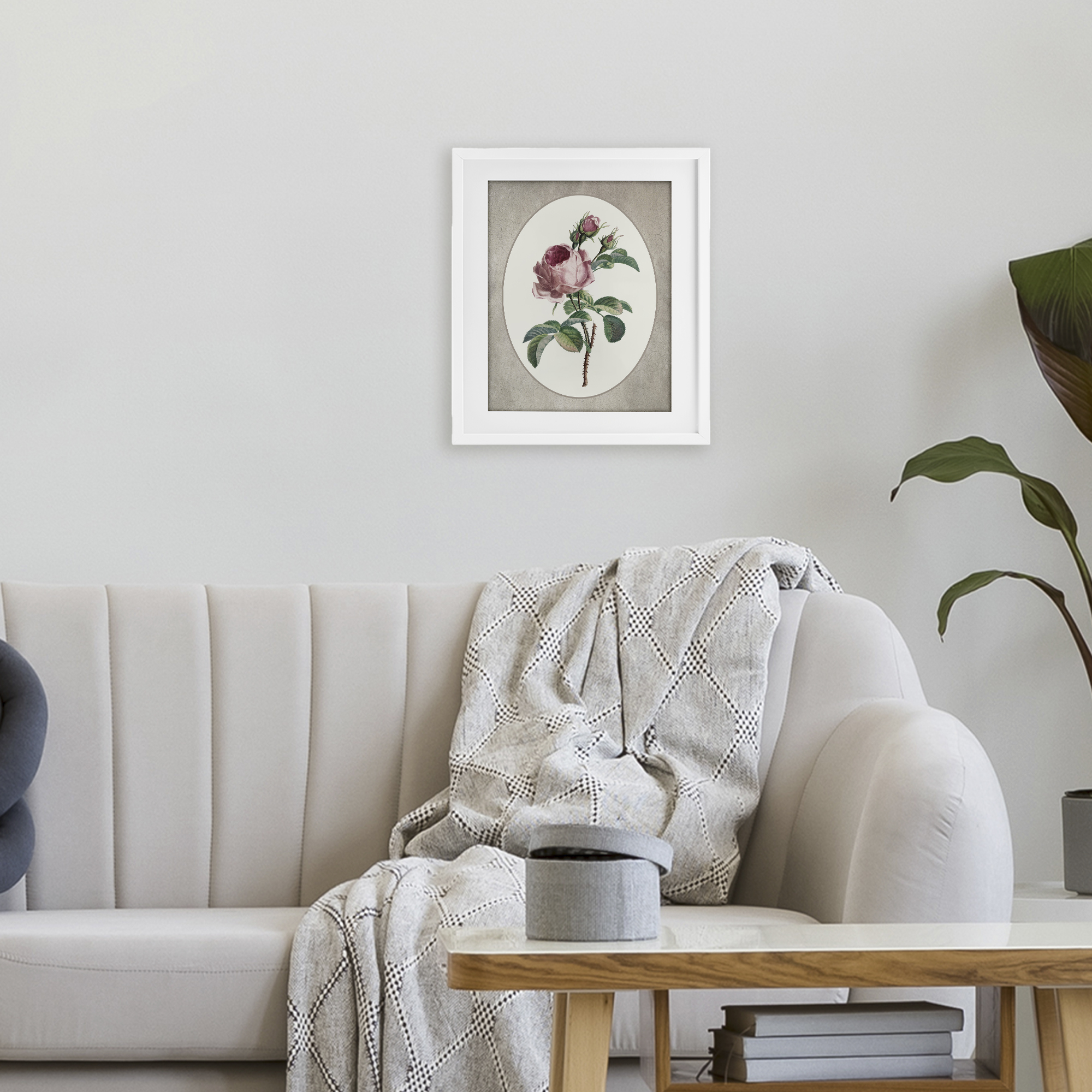 Vintage Rose within Oval White Framed Print Under Glass, design by Lettered and Lined