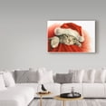 thumbnail image 3 of Trademark Fine Art 'Gray Cat With Santa Hat' Canvas Art by Francien Van Westering, 3 of 3