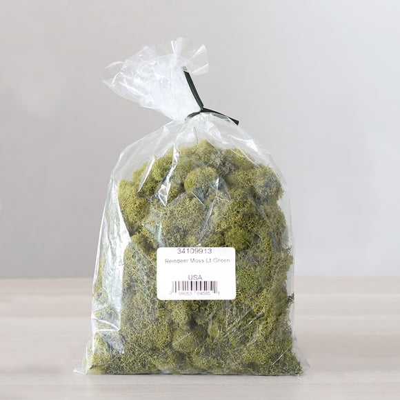 Reindeer Moss 4oz Bag for Decorative, Wall Art Garden