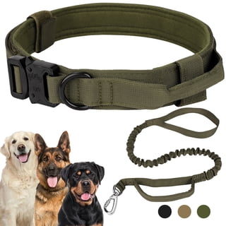 hamilton-1-adjustable-18-26-dog-collar-lime-green-walmart
