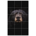 thumbnail image 1 of Picture-Tiles.com: Bear Ceramic Tile Wall Mural WAL500115-35L. 24"W x 40"H using (15) 8" x 8" Ceramic Tiles-Satin Finish, 1 of 3