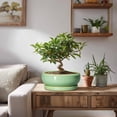 thumbnail image 4 of 8 inch Succulent Planter for Patio, Shallow Ceramic Pot with Drainage, Farmhouse Style Decor for Plants, Light Green, 4 of 8