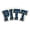 Pittsburgh Panthers, variant on Pittsburgh Panthers Magnet Car Style 12 Inch CO