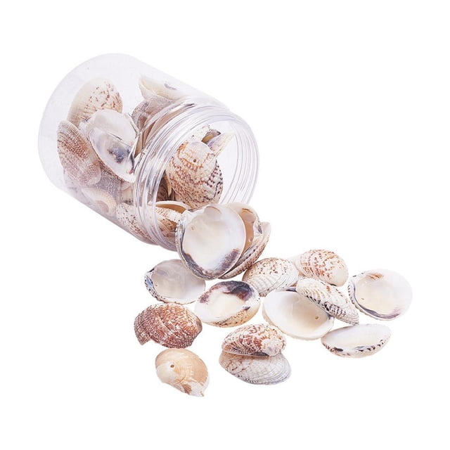 Caja de Aproximadamente 50 Piezas BLESIY variados marinas Con Orificios para joyas