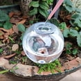 thumbnail image 5 of YiaNXan 10 Pack Self Watering Planter Insert, 500ml Self Watering Globes, Automatic Plant Waterer for Gardeners, Plant Watering System for Indoor and Outdoor Potted Houseplants, 5 of 9