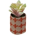 thumbnail image 3 of Northlight Artificial Pastel Succulent in Burlap Bag - 4.75", 3 of 6