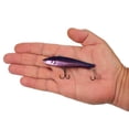 thumbnail image 4 of Berkley Ripfish, 9, Purple Chrome, 4 of 5