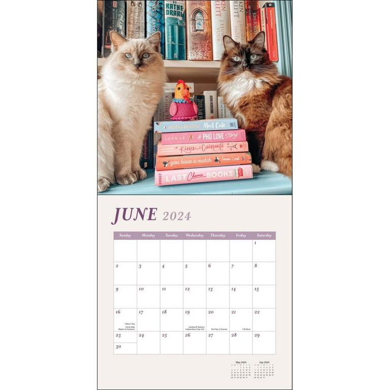 2024 Cat With Books Weekly Planner