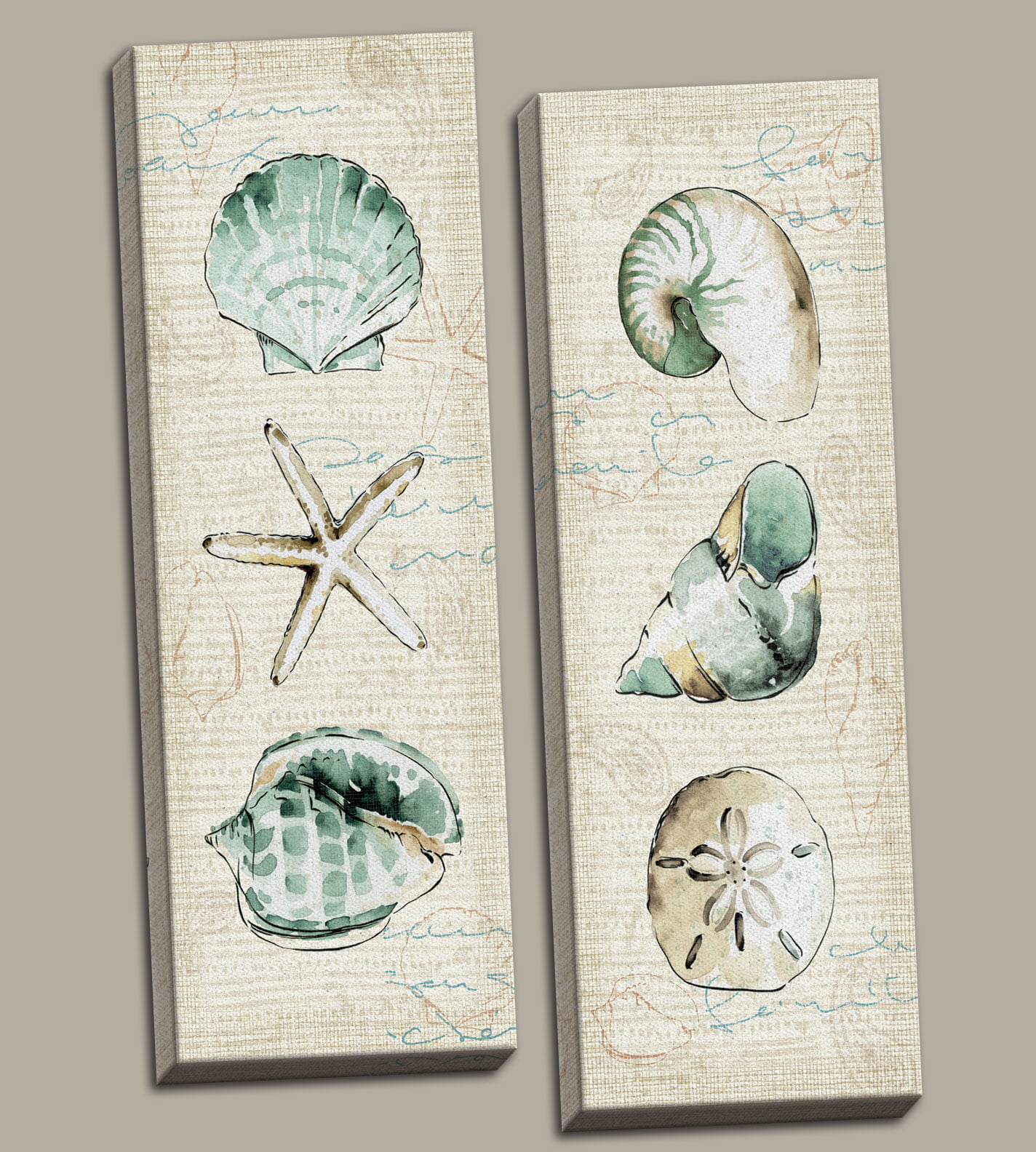 NEW Set of 2 Stretched Canvas Coastal Art 8"x20" Sea Shell Sand Dollar Starfish