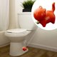 thumbnail image 5 of Toilet Caps Toilet Caps Toilet Caps Decorative Ceramic Toilet Covers Toilet Caps Animals, 5 of 6