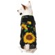 thumbnail image 1 of Balery Sunflowers3 Sudadera con Capucha para Perros Pequeños – Ropa para Mascotas, Disfraz para Perros y Gatos, Ideal para Fiestas y Cosplay-X-Large, 1 of 7