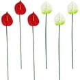 thumbnail image 2 of Miangastore 6pcs Plastic Flowers Artificial Anthuriums DIY Fake Anthurium Flower Decoration, 2 of 8