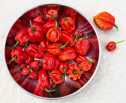 Unpretentious Whole Scorpion Peppers, 4 oz, Extremely Spicy, Hot Chile Peppers
