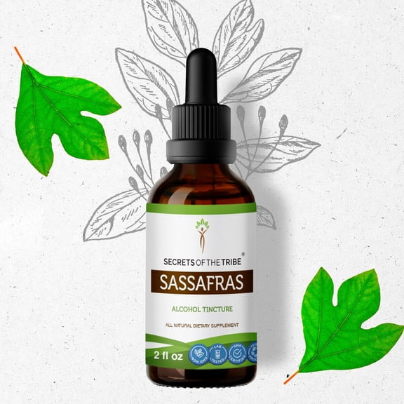 Sassafras Tincture Alcohol Extract, Organic Sassafras albidum Immune System Health / Healthy Cells 2 oz