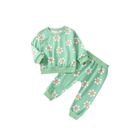

Bagilaanoe 2Pcs Toddler Baby Long Pants Set Long Sleeve Pullover Tops Trousers 3M 6M 12M 18M 24M 3T Flower Pattern Casual Outfits