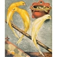 thumbnail image 3 of W. A . Blakston 15x17 Black Modern Framed Museum Art Print Titled - Scotch Fancy Canaries (1878), 3 of 5
