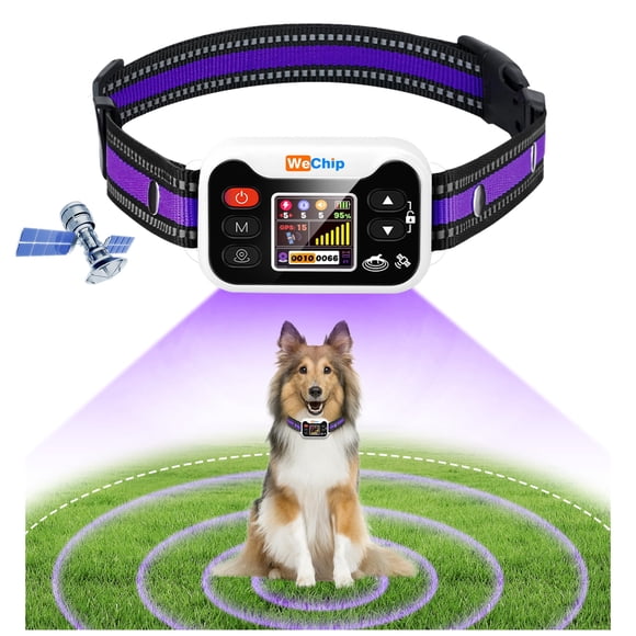 Collar inalámbrico GPS para perro con cerca electrónica WeChip, alcance de 0.02 a 2 km