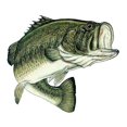 thumbnail image 4 of Rogue River Tactical 4X Bass Fish Decal Bumper Sticker 4x4 Inch Auto Decal Car Truck Boat RV Real Life Rod Tackle Box, 4 of 4
