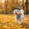 thumbnail image 6 of Kiddiway Halloween Hat and Bandana Set – Costume Accessory for Cats and Dogs, Ideal for Halloween Decor, Parties, and Trick-or-Treat Celebrations,Purple, 6 of 8