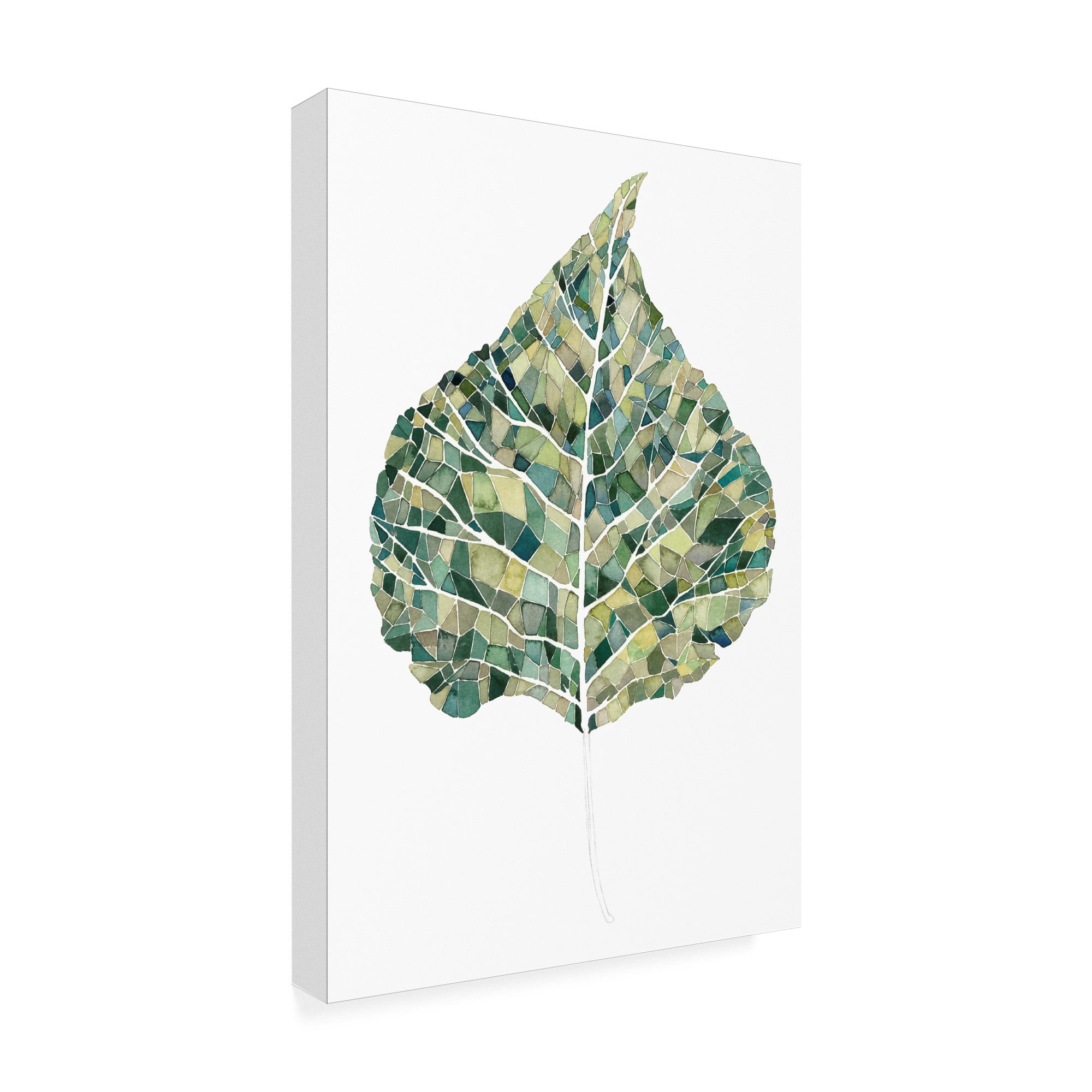 Trademark Fine Art 'Verdant Details I' Canvas Art by Grace Popp