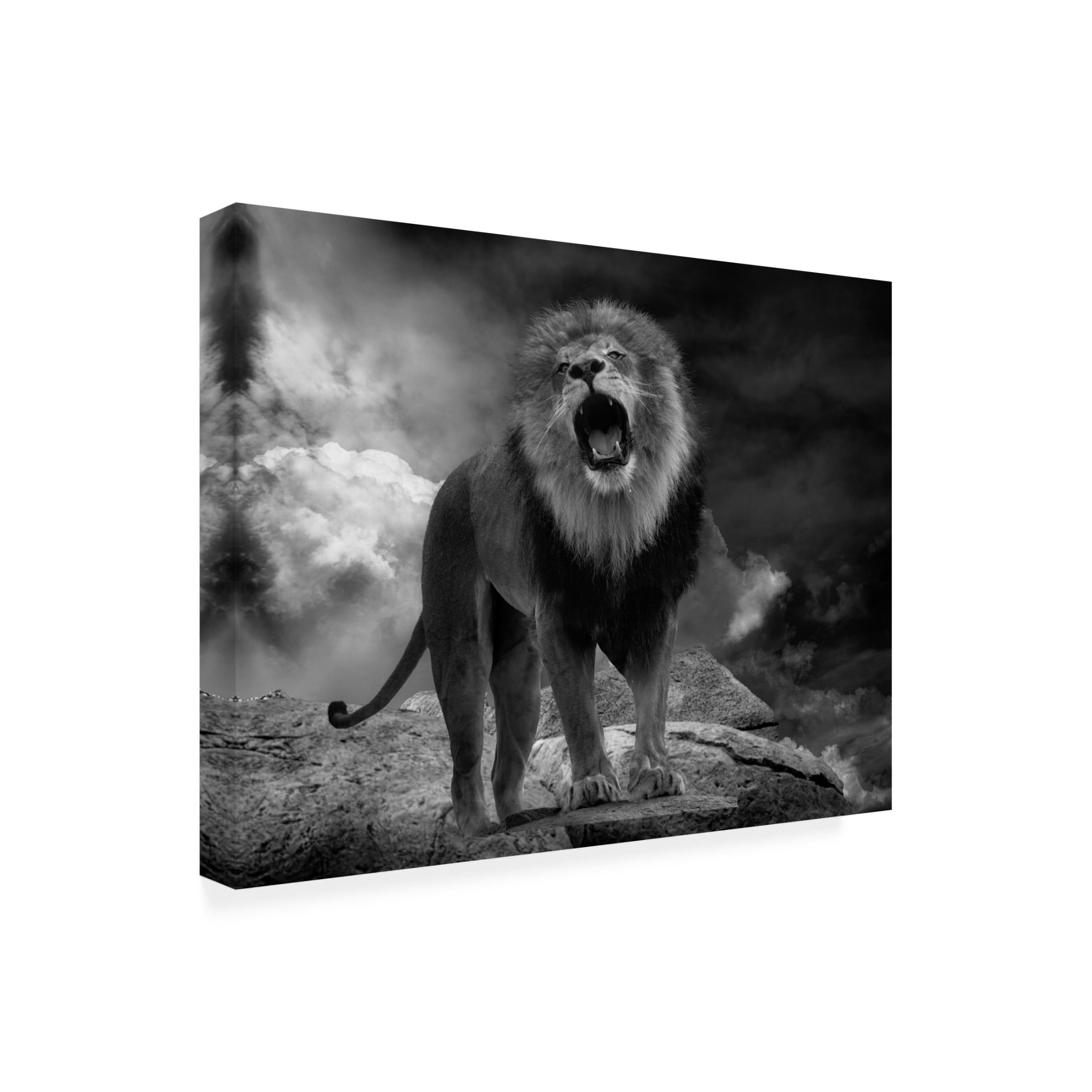 Trademark Fine Art Krystina Wisniowska Lions Roar Canvas Wall Art