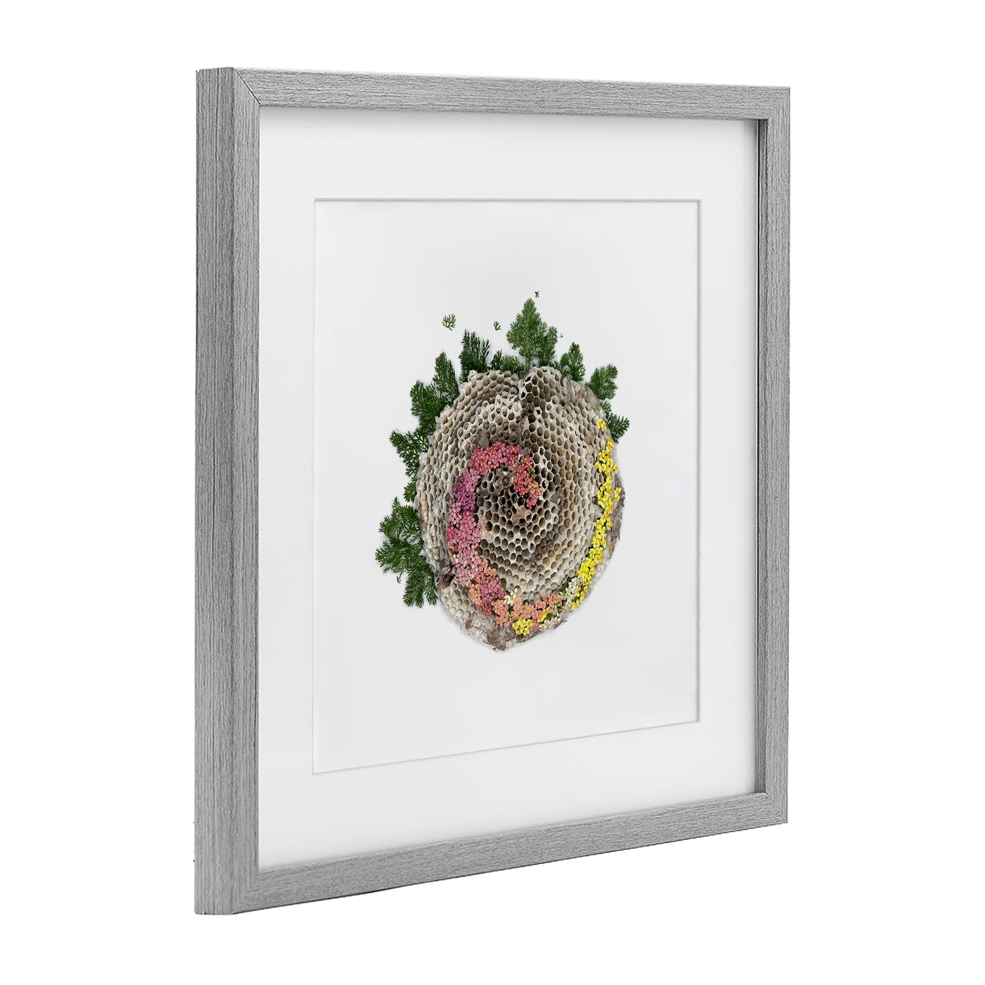 Stupell Industries Honeycomb with Botanicals Gray Framed Print Under Glass, design by Beth Adoette