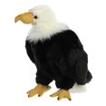 thumbnail image 3 of Aurora - Medium Black Wild Life - 11" Regal Eagle - Playful Stuffed Animal, 3 of 4