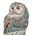 thumbnail image 2 of Beautiful Owls I Pastel Poster Print by Daphne Brissonnet, 2 of 2