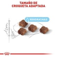 thumbnail image 3 of Alimento Croqueta Gatas gestantes Gatitos 1.37Kg Royal Canin, 3 of 5