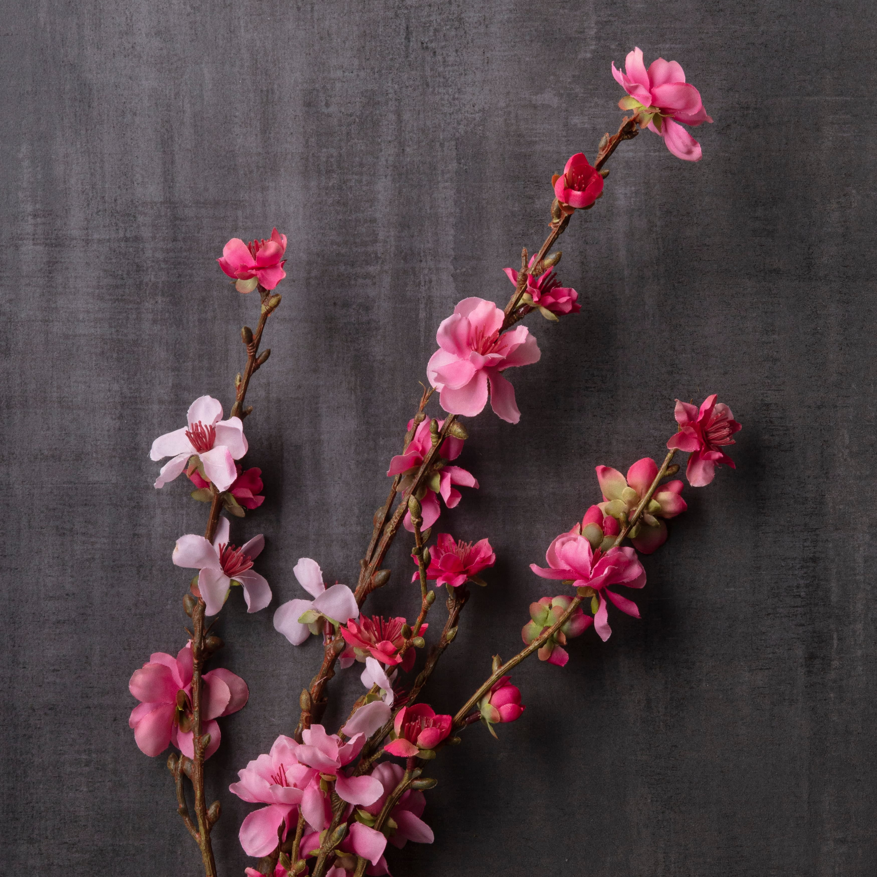 12 Pack: Pink Peach Blossom Stem by Ashland® 