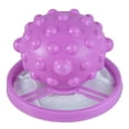 thumbnail image 1 of Removedor de pelo de mascota Sunnimix Flotador reutilizable púrpura, 1 of 6