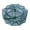 as the picture shows, variant on The Magic Foldable Fishing Trap - 2025 Upgraded Auto-Folding Bait Trap for Crab, Crayfish & Minnows - Portable Strengthened Cast Net for Freshwater/Saltwater Fishing