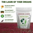 thumbnail image 5 of Earthwise Seed Company Crimson Clover Seeds, 1 lb Coverage 1000 sq ft, Spring Blooming Cover Crop (1 lb), 5 of 10