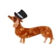 thumbnail image 2 of Salchicha Perro Animal Broches Ropa Bolsas Joyería Alfileres Broches Regalo, 2 of 8