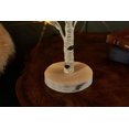 thumbnail image 3 of FrostHike Lighted Birch Tree with Timer Battery Operated or USB Plug-in 18IN 24 LED Twig Tree Lights for Wedding Party Christmas Decoration, 3 of 5