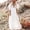 White, variant on Coverups for Bathing Suits, Swimwear Cover Up Classic Women's Button Waist Rope Long Cardigan Beach Jacket for Sun and Beachwear Black One Size