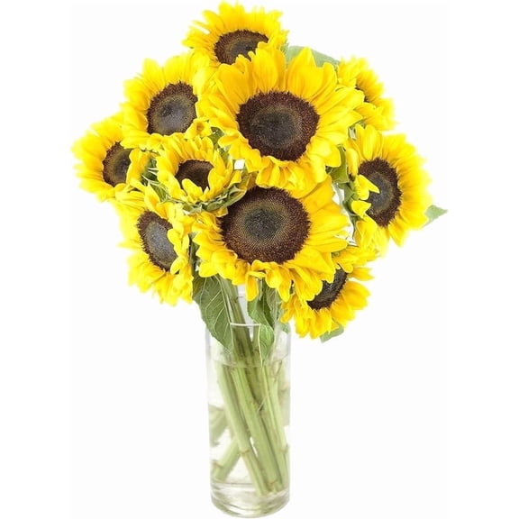 KaBloom : 10 Yellow Sunflower with Vase, Next-Day Delivery, Gift for Every Occasion.