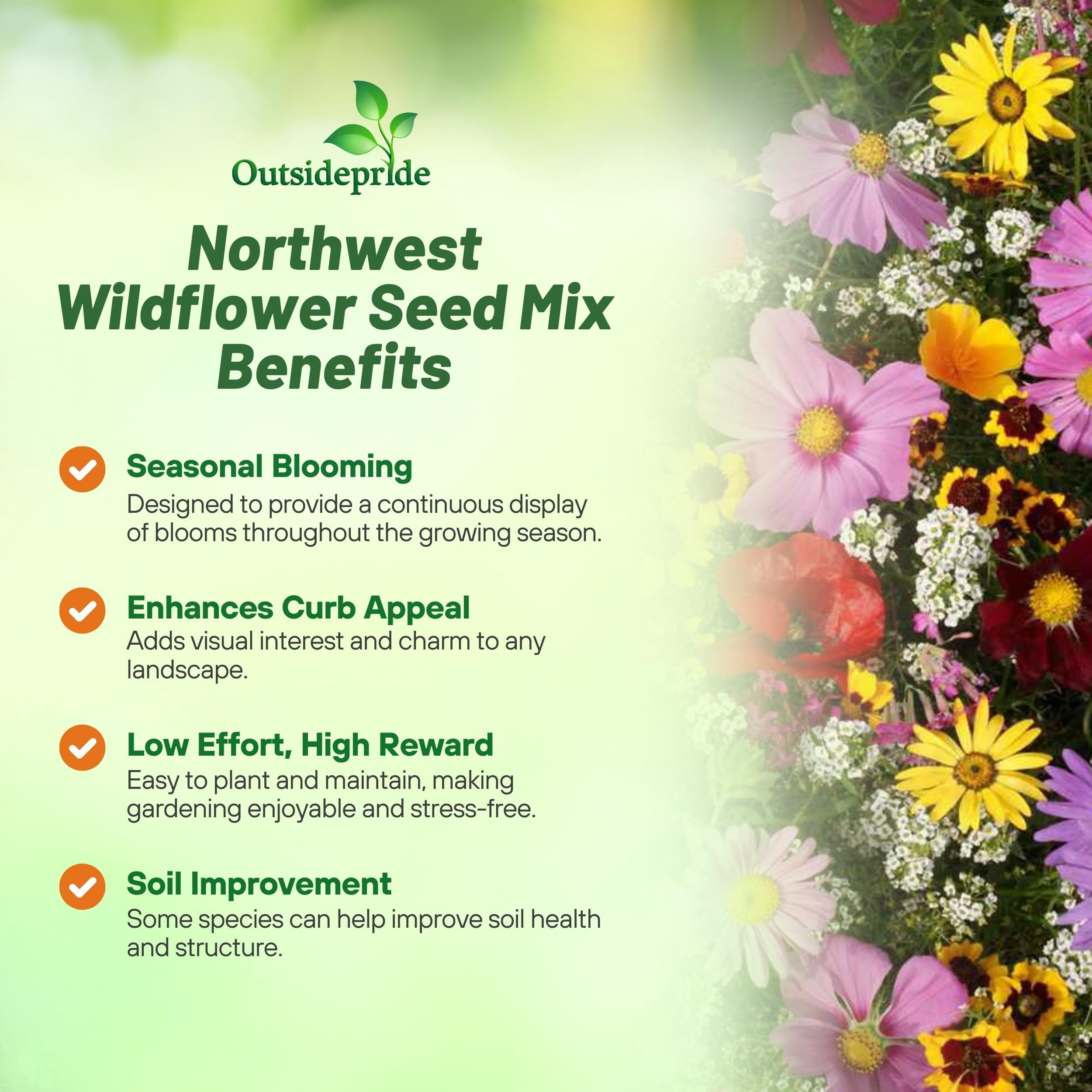 Outsidepride 1 lb. Northwest Wild Flower Seed Mix for Northwestern States