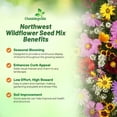 thumbnail image 3 of Outsidepride 1 lb. Northwest Wild Flower Seed Mix for Northwestern States, 3 of 5