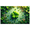 6A, variant on Cloverleaf Greenery Theme Background Banner Party Decorations St Patrick's Day Decor Event Backdrop Celebration Photography Props