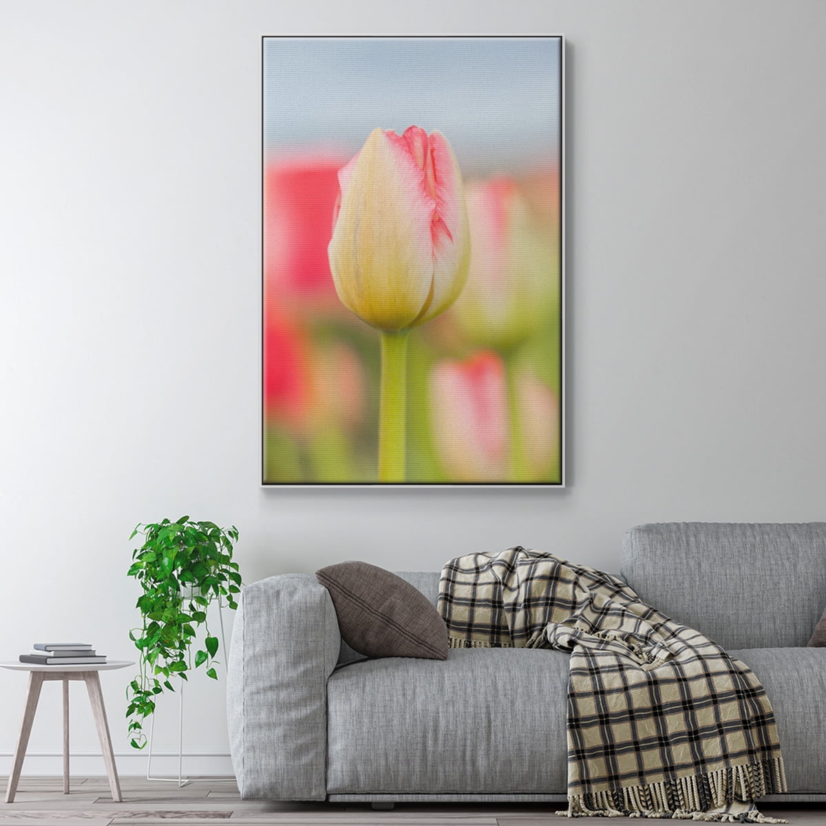 Twotone Tulip Framed Premium Gallery Wrapped Canvas - Ready to Hang